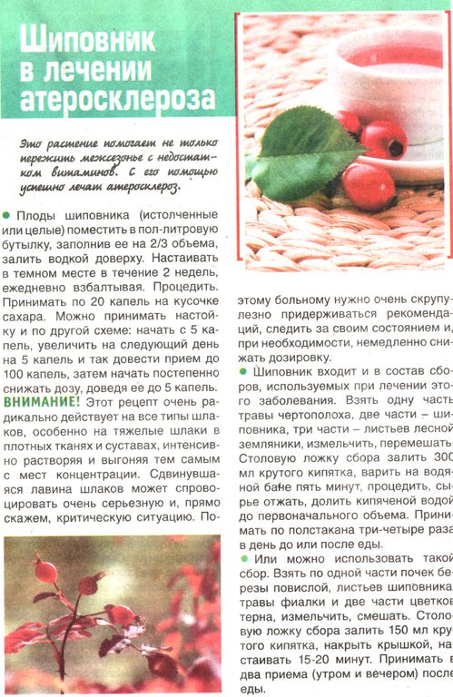 Шиповник плоды 100 гр. в Екатеринбурге