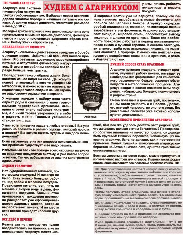 Агарик гриб 100 гр. в Екатеринбурге