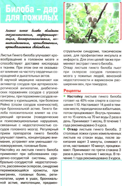 Гинкго билоба, лист 50г в Екатеринбурге
