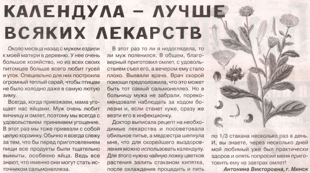 Календула цветы 100 гр. в Екатеринбурге