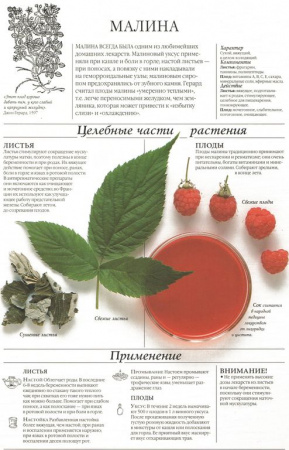 Малина лист 250 гр. в Екатеринбурге