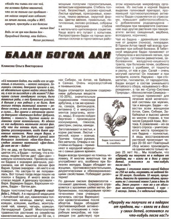 Бадан лист 100 гр. в Екатеринбурге