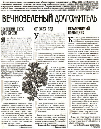Можжевельник плод 100 гр. в Екатеринбурге