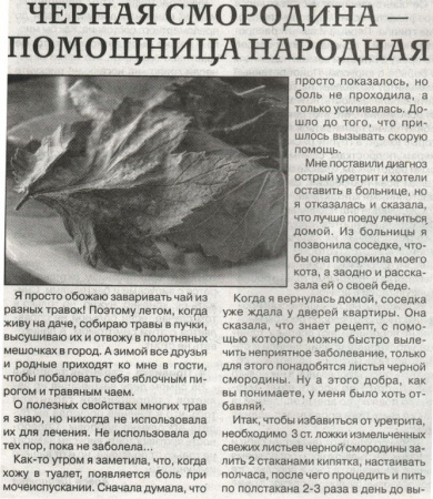 Смородина лист 200 гр. в Екатеринбурге